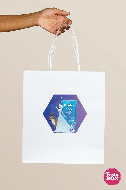 Return Gift Bags for Birthday Party -Frozen Theme - Option 1