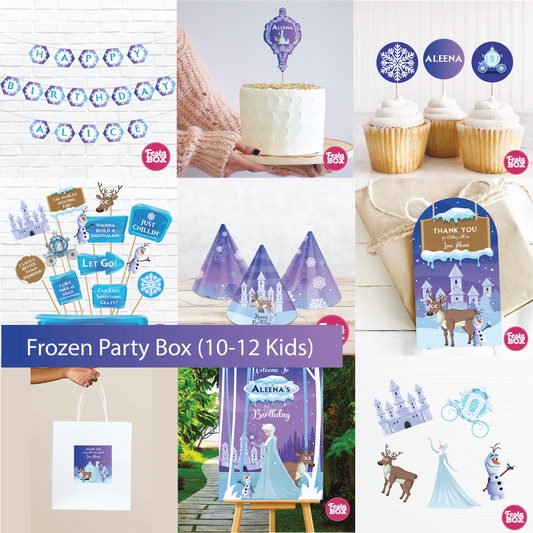 Birthday Party Box - Frozen Theme